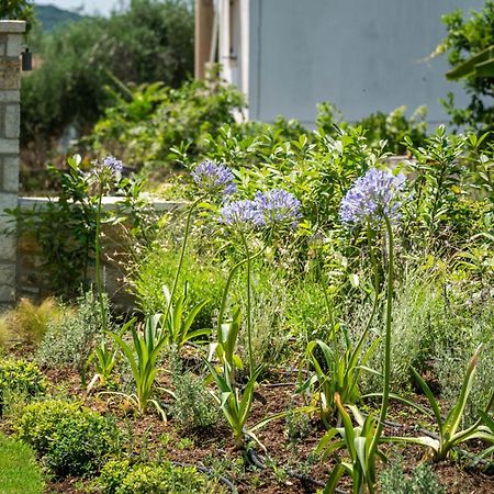 Syvota Gardens Leilighet Eksteriør bilde