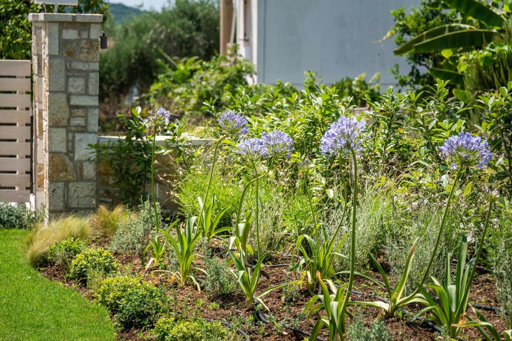 Syvota Gardens Leilighet Eksteriør bilde